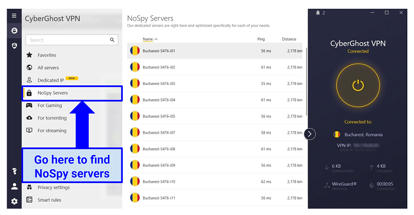 graphic showing NoSpy servers